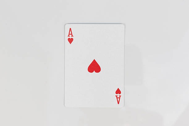Taking a Look at Digital Casino Entertainment A Practical Information Guide